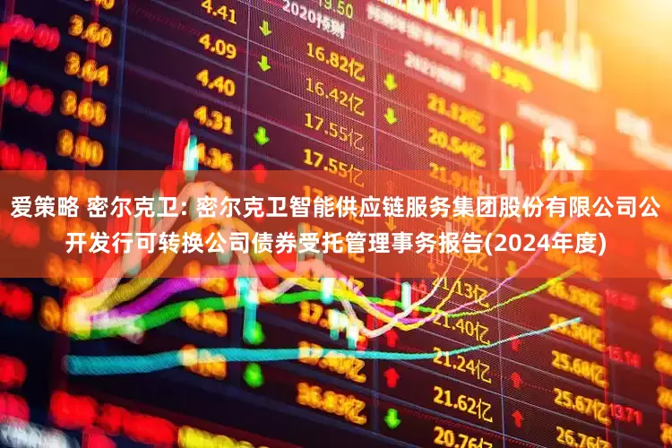 爱策略 密尔克卫: 密尔克卫智能供应链服务集团股份有限公司公开发行可转换公司债券受托管理事务报告(2024年度)