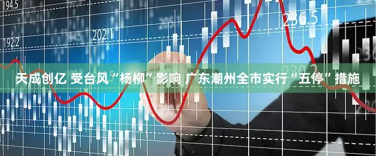 天成创亿 受台风“杨柳”影响 广东潮州全市实行“五停”措施